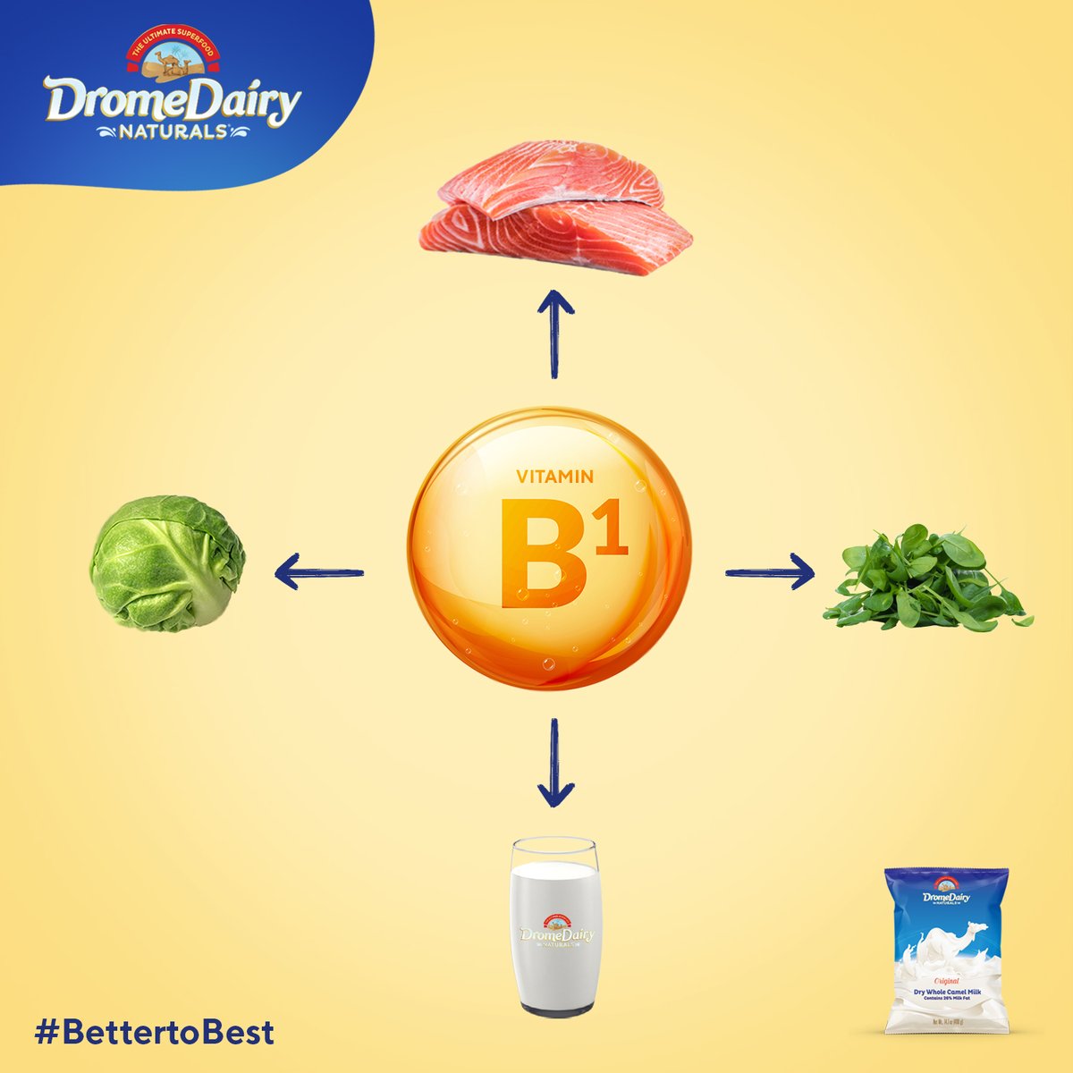 DromedairyP's tweet photo. #BettertoBest⠀
A deficiency in vitamin B1 can be scary! However, the good news is we have so much readily available foods and choices that allow us to boost our vitamin B1 intake. DromeDairy naturals is one predominant way to escalate your vitamin B1 intake!⠀#camelmilk https://t.co/BwQgo8DBHQ