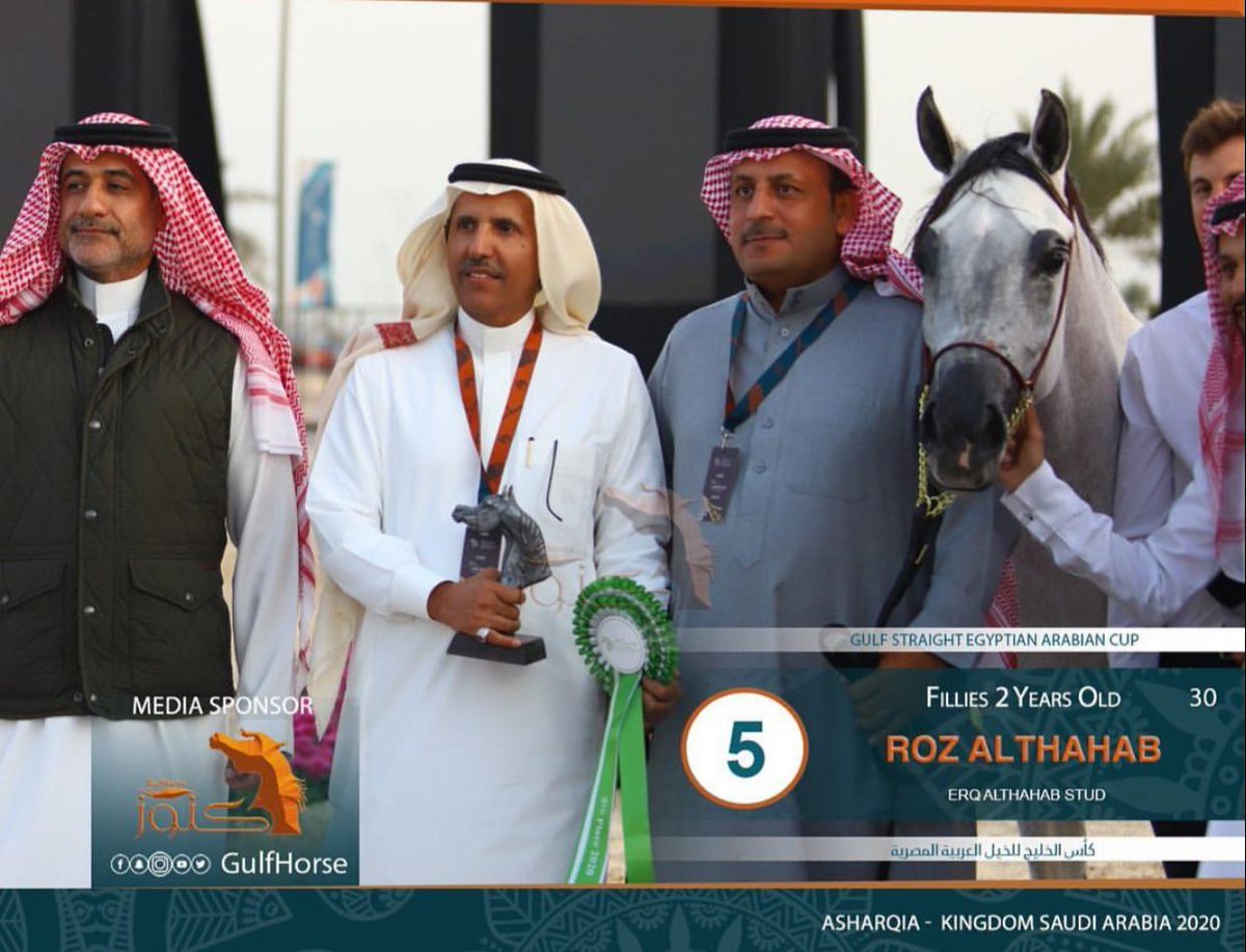 يشارك مربط ال شتيوي (عرق الذهب ) في بطولة الخليج للخيول العربية بالمهره روز الذهب والمهرة ميلانو وفي وبطولة الشرقية بالمهره كنز الذهب ولمعة الذهب والمهر نصر المقامة حاليا في الدمام