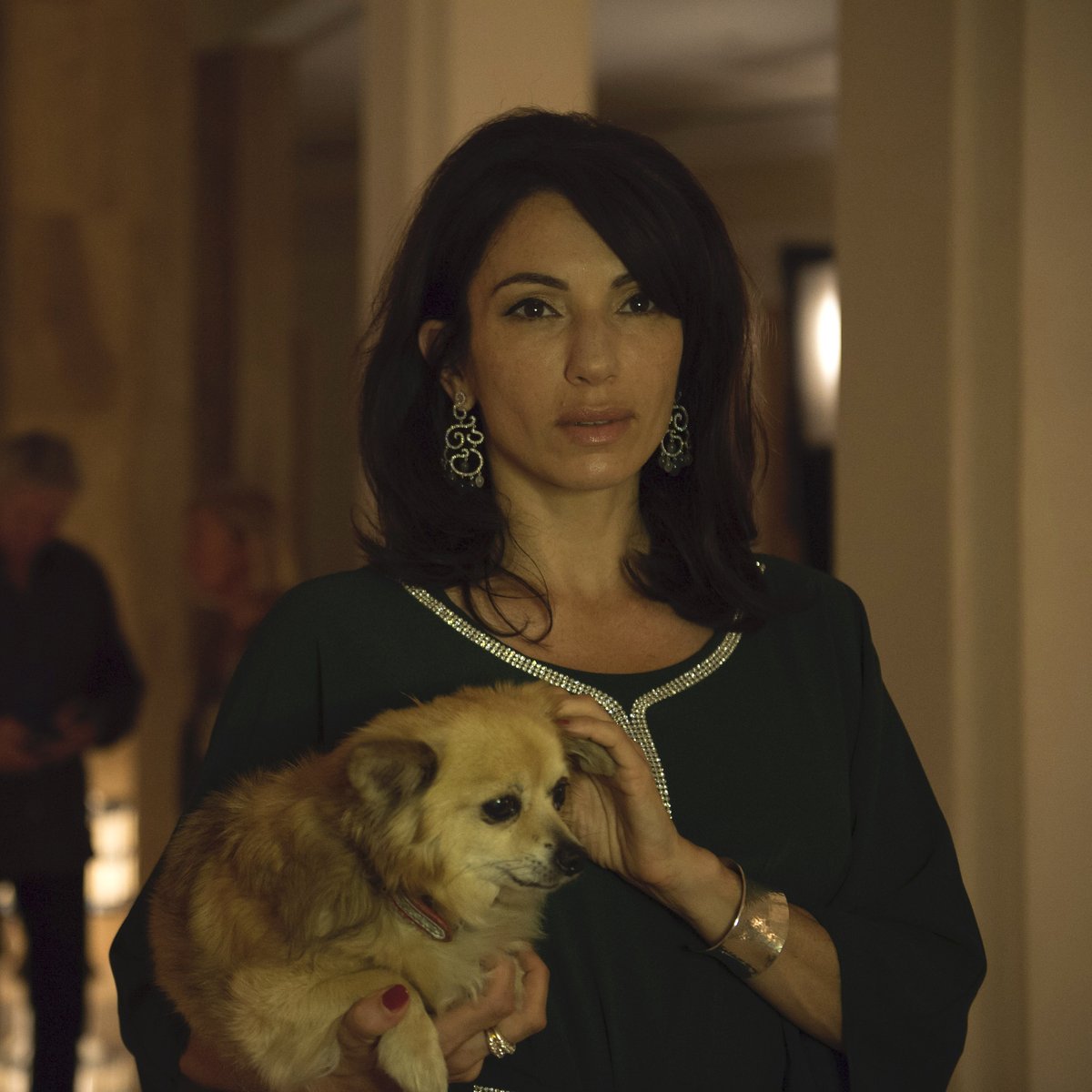The Ink Factory (@theinkfactory) on Twitter photo The most charming character in Episode 1 of The Night Manager? Sophie's chihuahua. 
#LoveYourPetDay 
#TheNightManager The most charming character in Episode 1 of The Night Manager? Sophie's chihuahua. 
#LoveYourPetDay 
#TheNightManager