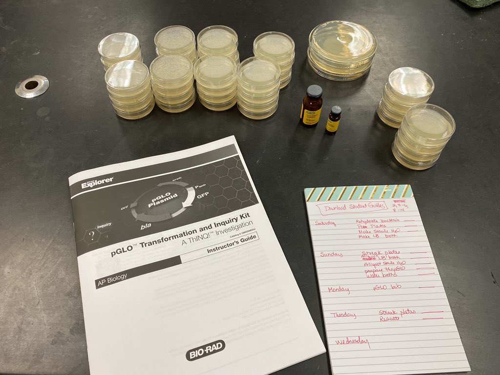 absmith_IHS's tweet photo. Getting ready for pGLO transformation and inquiry next week! #APBio #ThisIsIrmo #Biorad #pGLO https://t.co/NjY4jI5Lqf