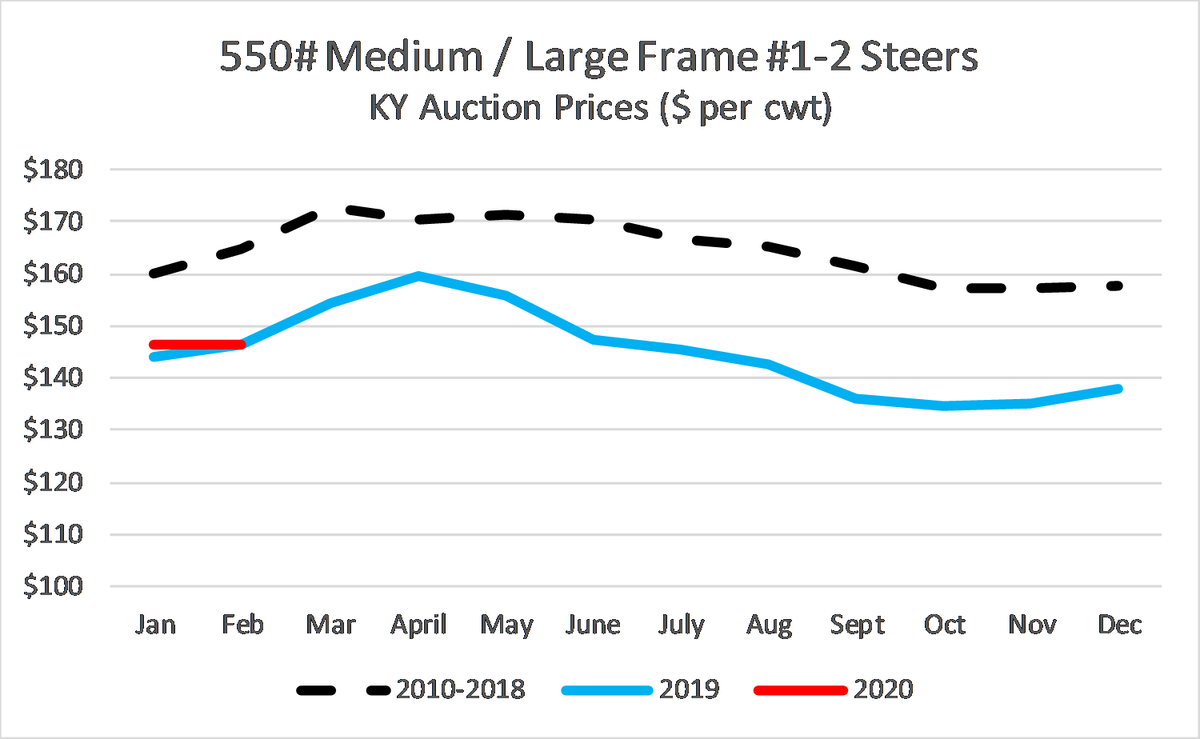 KYCattleEcon's tweet photo. KY calf prices have shown some signs of life in the new year, up $12 per cwt from October and November. Not a great market, but does provide some optimism for spring. Source: @USDA_AMS @UKYAgEcon @KYCattlemen #KYCattleMarkets https://t.co/hrkPCcTGYU