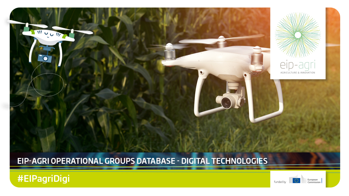 EIPAGRI_SP's tweet photo. Many #EIPAgri #operationalgroups are using #digital technologies to improve their work. 
Browse the database on our website to find out more: 

https://t.co/xE1DjDxL0P 

#EIPAgriDigi

OGs/country:
🇩🇪48
🇪🇸40
🇮🇹39
🇳🇱30
🇸🇪12
🇵🇹8
🇱🇻7
🇫🇮6
🇫🇷6
🇬🇧6
🇦🇹4
🇸🇮4
🇧🇪3
🇱🇹2 https://t.co/O1lEbzpv6k