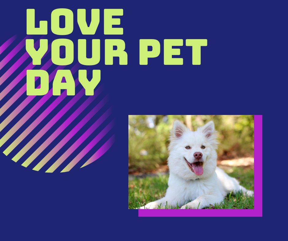 InsuranceText's tweet image. Today is #LoveYourPetDay Show your cat, dogs, turtles, and other pets how you really feel about them!

So how do you show affection to your pet? Share your thoughts in the comment section together with their photo!

#nationallovepetday #dogs #hoomans #CatsOfTwitter