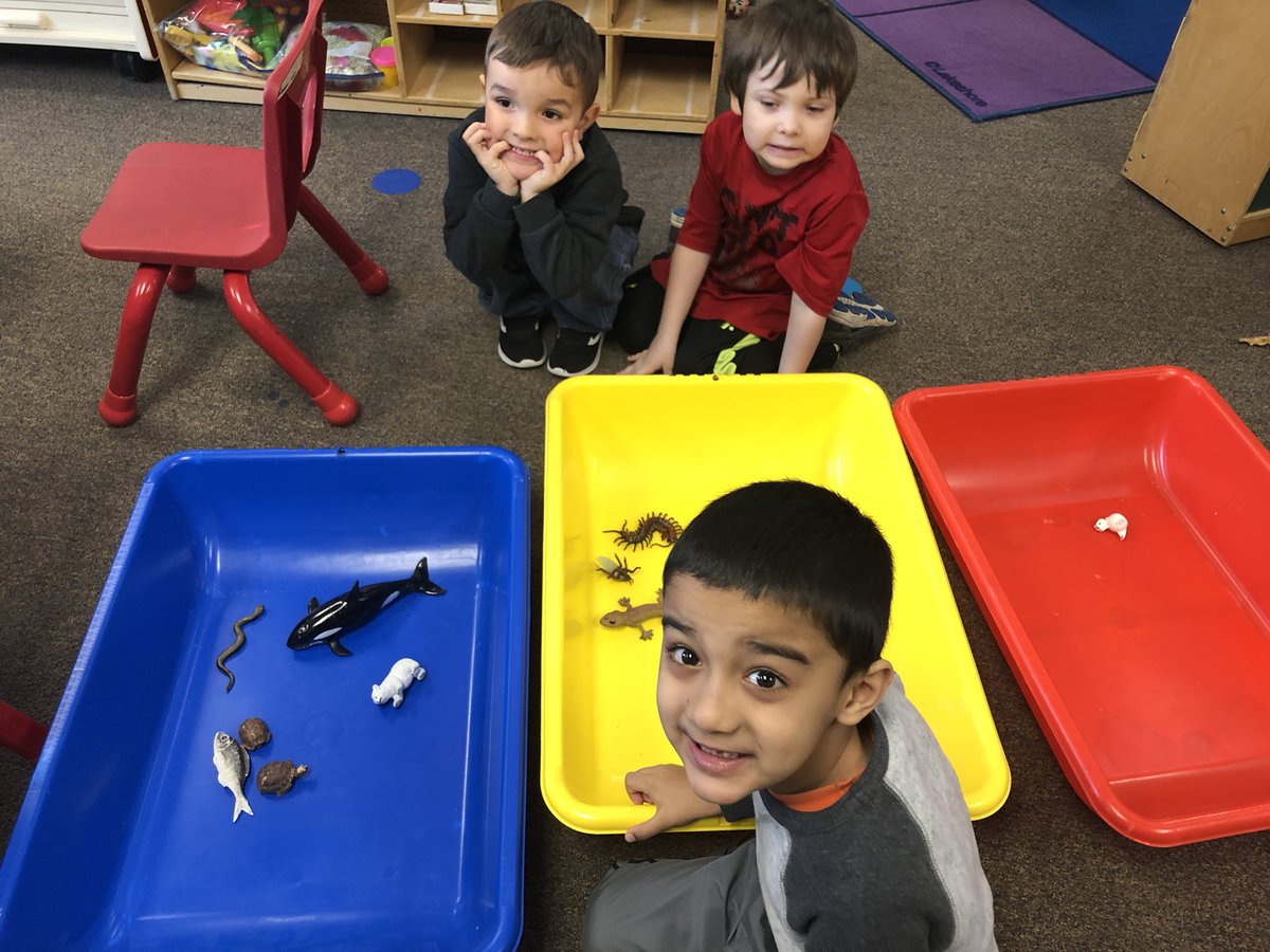 hmknight's tweet photo. Sorting animals into animals who like the water and animals who like land. #fecchornets #fultonproud https://t.co/exXCmixqp1