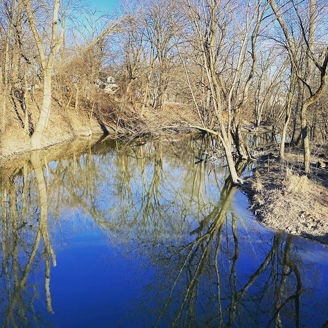 MichaelLong38's tweet image. Day 1: I took a frozen walk to Starbucks. #frozen #chicago #belowzero #coffee ift.tt/2v0UV43