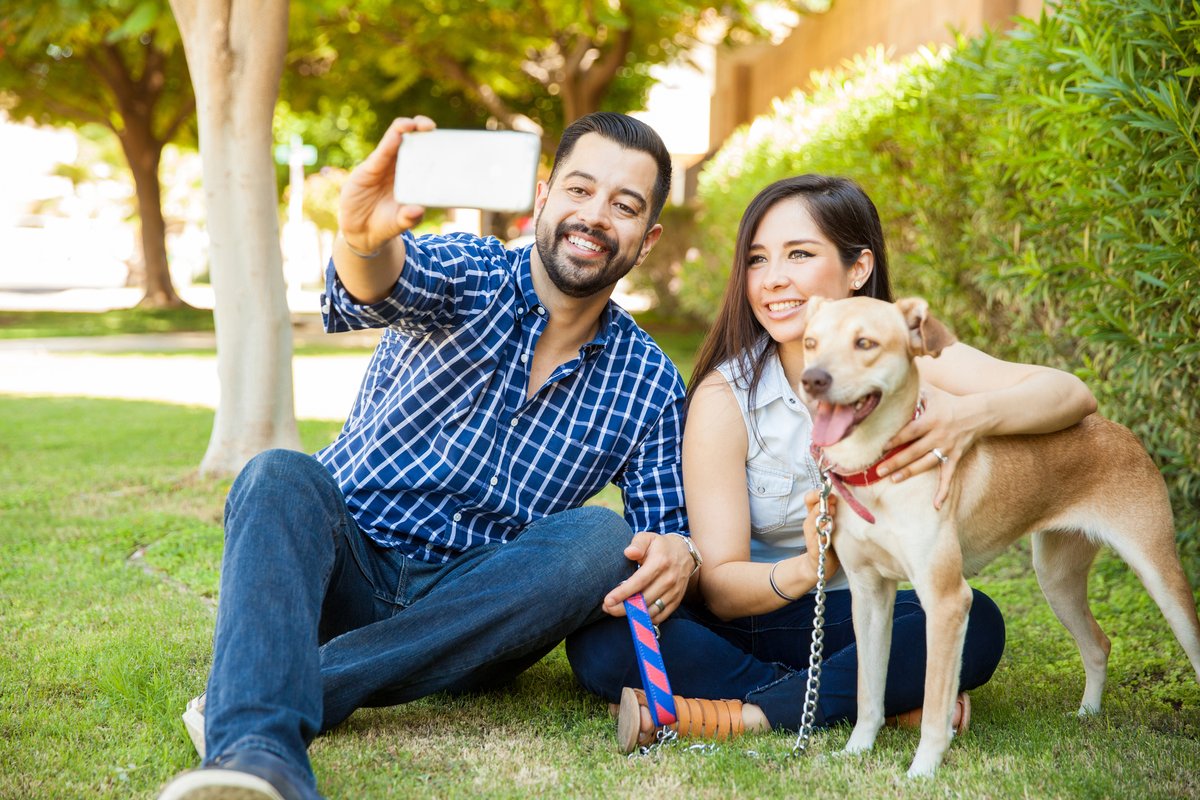 CDCemergency's tweet photo. Pet project--5 ways to prepare your pets for an #emergency on #LoveYourPetDay: https://t.co/VUIdQFR1fH #PrepYourHealth #OneHealth https://t.co/9wckHIkcCi