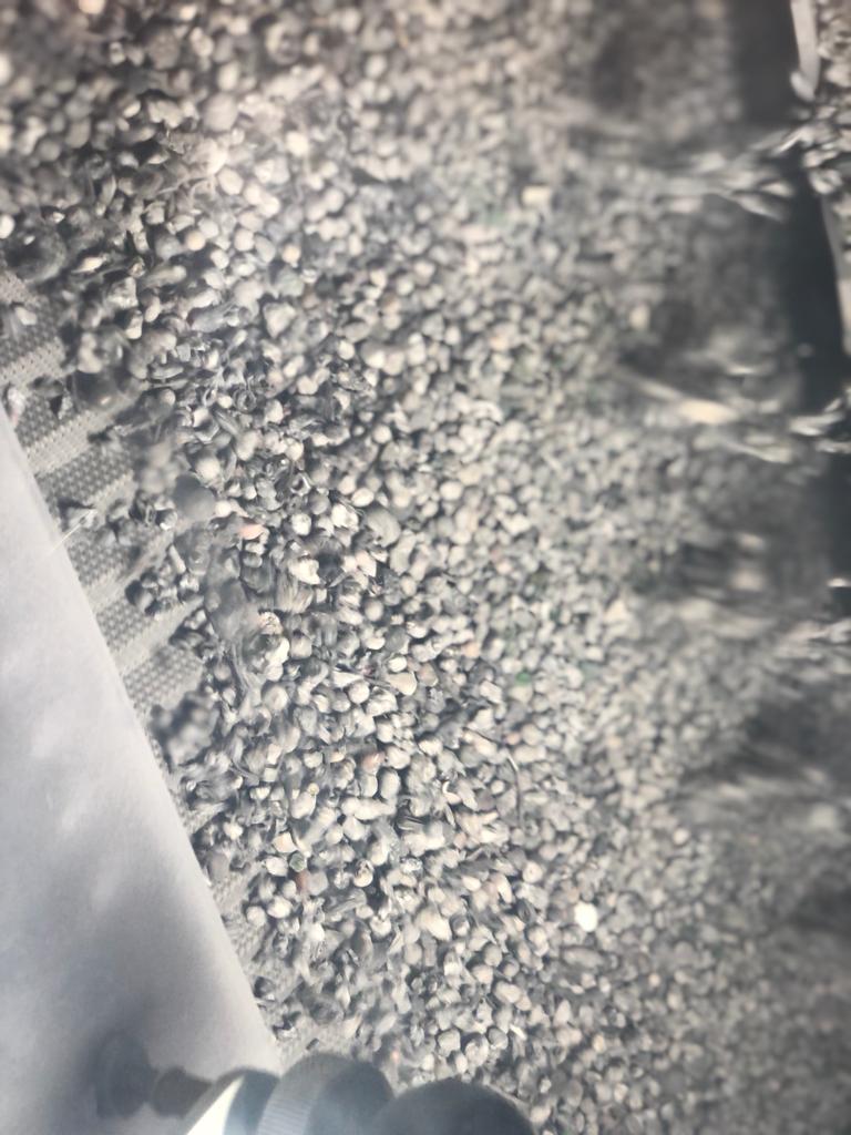 suez's tweet photo. Today in #Belgium🇧🇪 , @JanJambon Minister-President of Flanders and @jmboursier, COO of #SUEZ inaugurate #Valomet the largest industrial site in the EU of ultra-fine #metal particles recovery from domestic & industrial #waste in #Ghent #CircularEconomy https://t.co/FqylTnGeWG