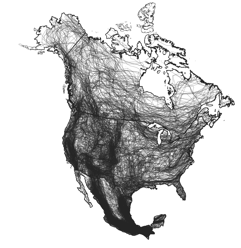 Michael Belitz tweet media