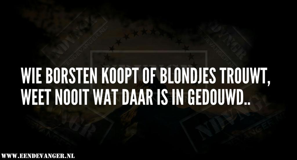 EendenvangerNL's tweet photo. Wie borsten koopt of blondjes trouwt, weet nooit wat daar is ingedouwd.. #Meme #NDVNGR #Eendevanger #EendevangerMeme #blondjes #siliconen #borsten #siliconenborsten #koopt #trouwen https://t.co/ATIxoDIYVW