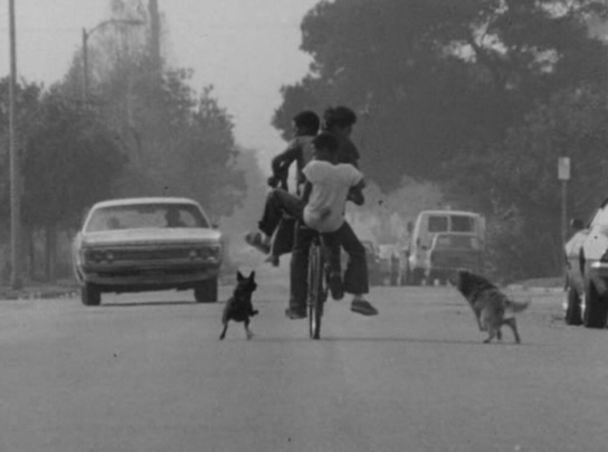 fubufilms's tweet photo. killer of sheep, directed by charles burnett, (1978) https://t.co/KtauJzBgRl