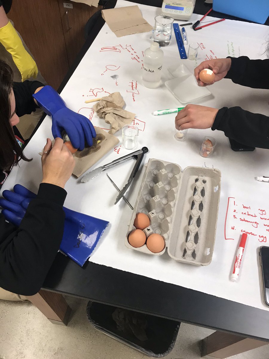 MWS_science's tweet photo. Room 103 in the experimental design process. #IB #DP #meridian #MWS_Science https://t.co/vyUxMLihoq