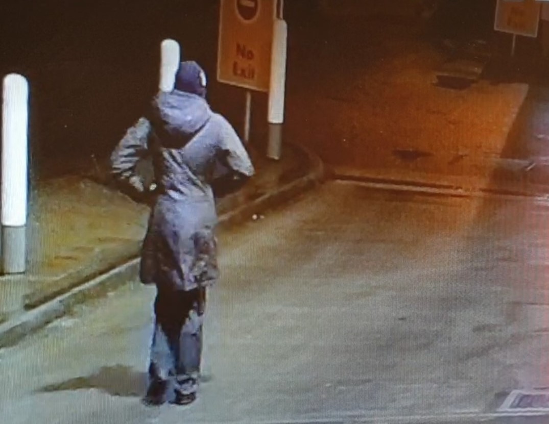 Missing Lisa Hale - residents asked to check outbuildings

hampshire.police.uk/news/hampshire…