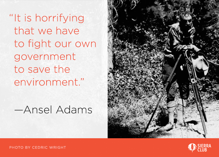 SierraClub's tweet photo. Famed wilderness photographer Ansel Adams was born on February 20, 1902. #ThursdayWisdom #ThursdayMotivation https://t.co/hqc7qjIPU4