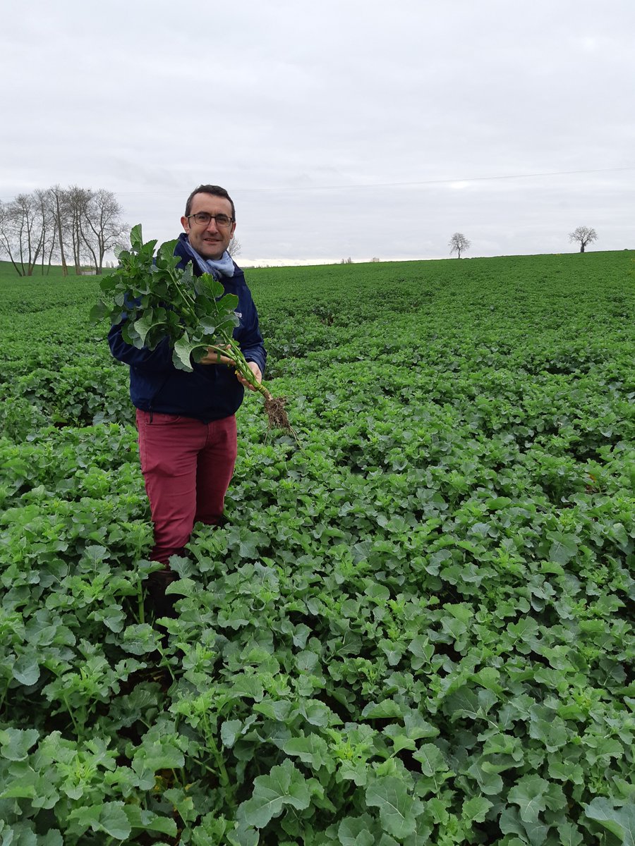 maxime touzaint tweet media