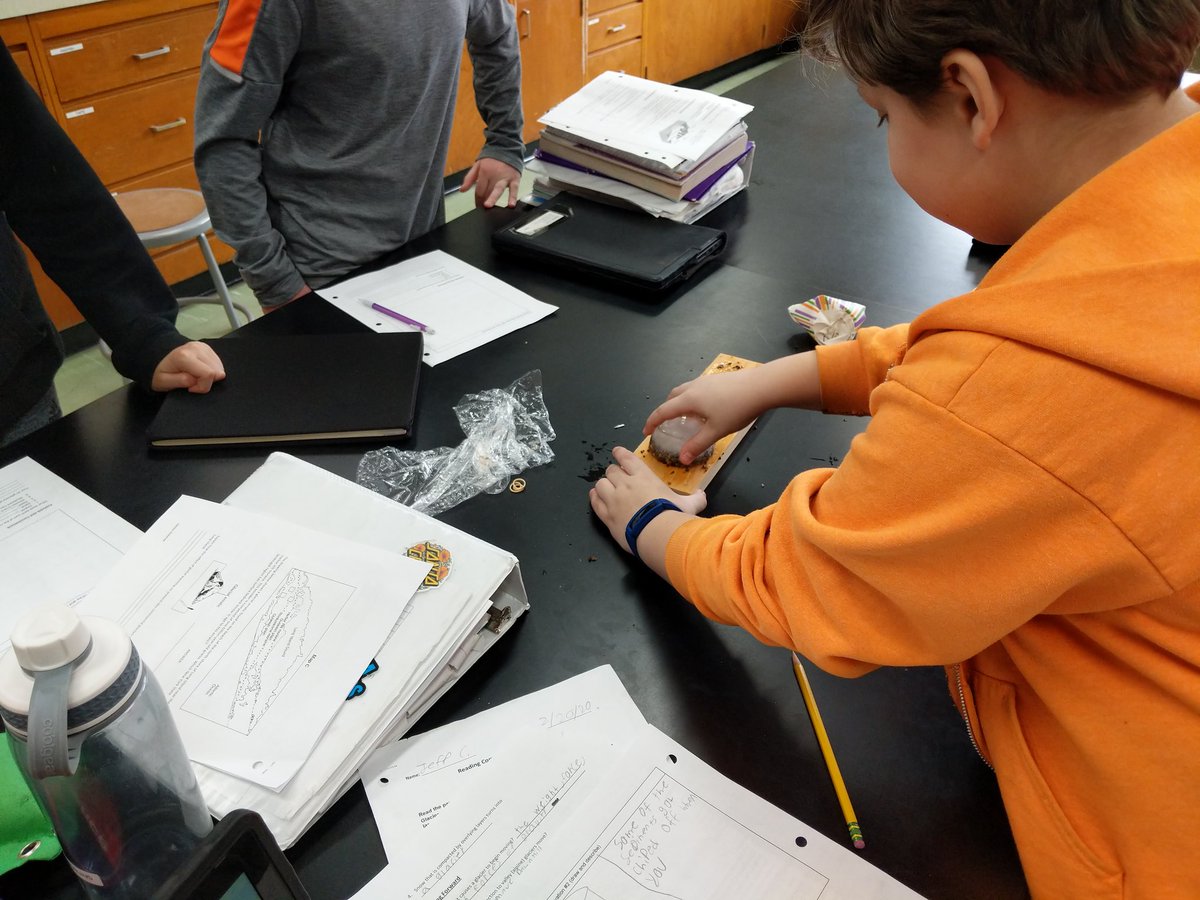 kate lascelle tweet media