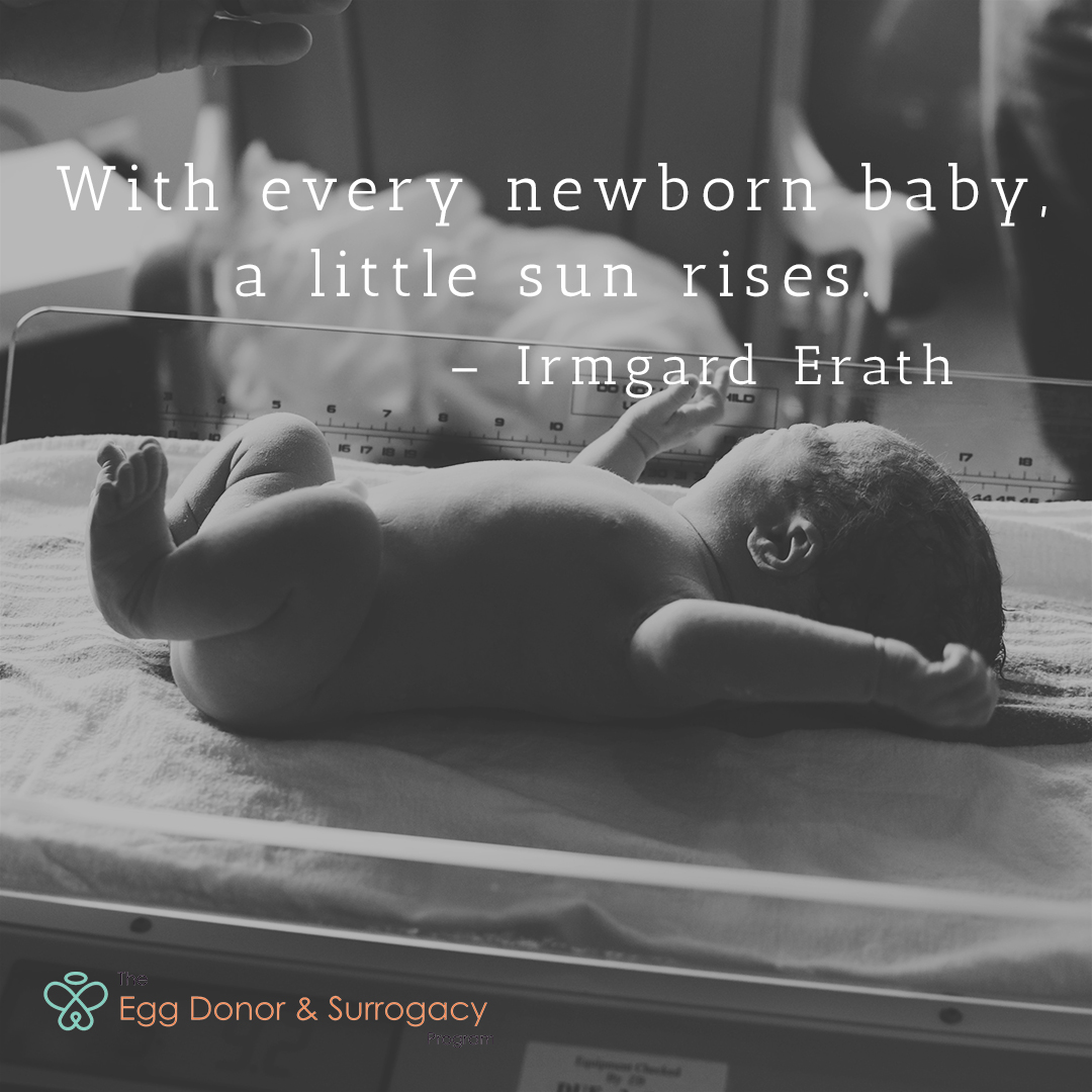 hatchfertility's tweet photo. "With every newborn baby, a little sun rises." — Irmgard Erath
#baby #birth #eggdonation #eggdonorprogram #surrogacy #surrogacyprogram https://t.co/uv9zvB8ccY