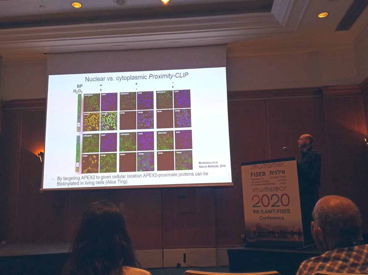ScienceAbroad's tweet photo. More #FISEB #ILANIT2020 pictures from #scientists working #abroad @ScienceAbroad ๐ Ariel Afek (Duke) and Dan Behalevy (NIH) presenting their research. We wish everyone a safe trip back home! https://t.co/Jh2sEgcR4C