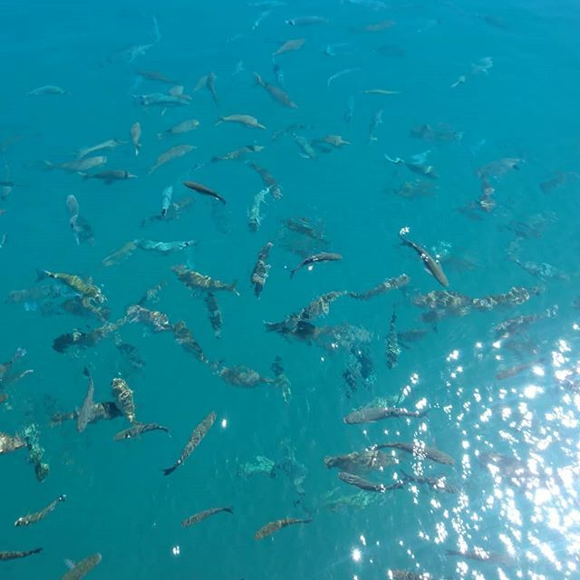 #lanzarote #puertodelcarmen ift.tt/37L2FEL