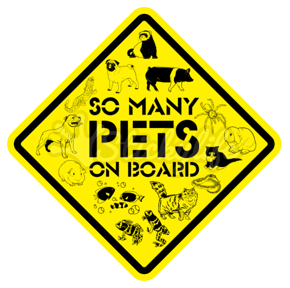 StickyLife's tweet image. Today is National Love Your Pet Day. Any pet. Every pet.
Grab your own 'So Many Pets On Board' car magnet today, and let everybody on the road know just how much you love your fur babies, too! stickylife.com/so-many-pets

#LoveYourPetDay #LoveYourPets #furbabies #petsonboard