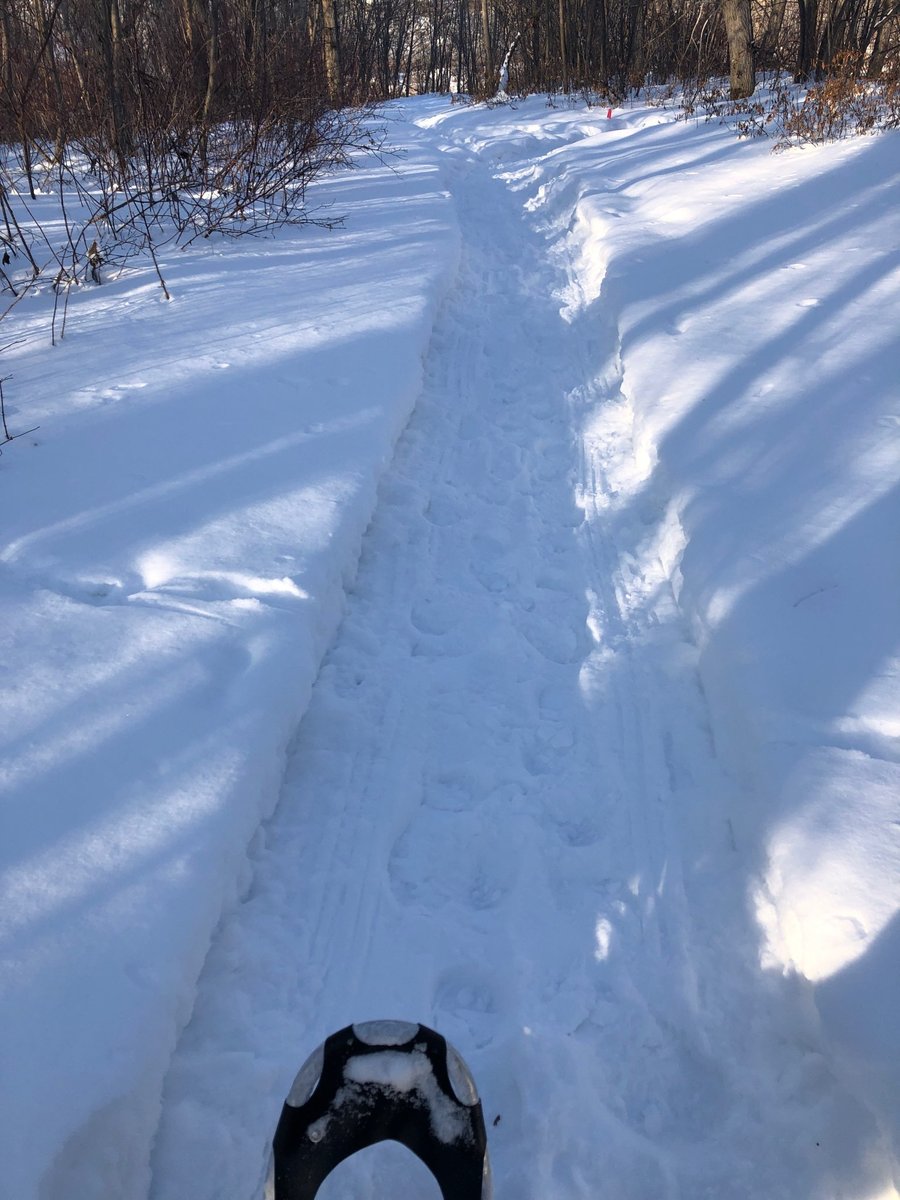 Course is shaping up for the @devon_bicycle_association Blizzard Fatbike Race. Featuring tight, deep &amp; snowy singletrack. Part of race fees donated to M.S. Society. 
📸<a href="/jgnliu/">Janet Liu</a>

zone4.ca/register.asp?i…

#DBA #biketownAB #blizzard #fatbike #maxeffortslowspeed #type2fun #maybetype3