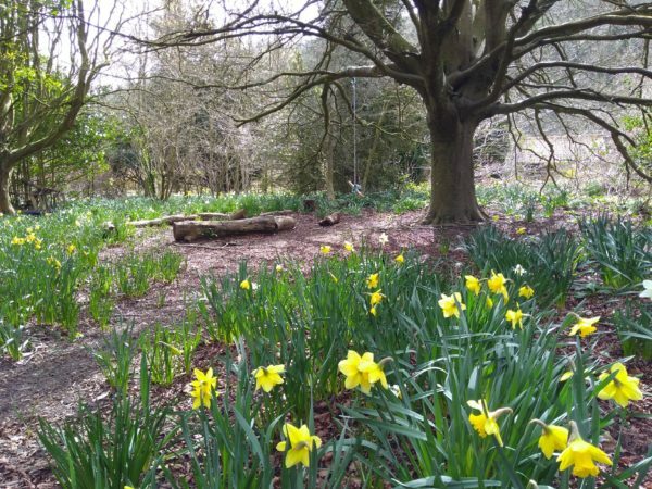 Fancy hiring a secret hideaway in the woods or running your wellbeing activities in a building close to nature?  We are consulting about an exciting eco-building idea at Stanmer Wellbeing Gardens in Stanmer Park and want to hear your views.  Please help … ift.tt/37PLTV6