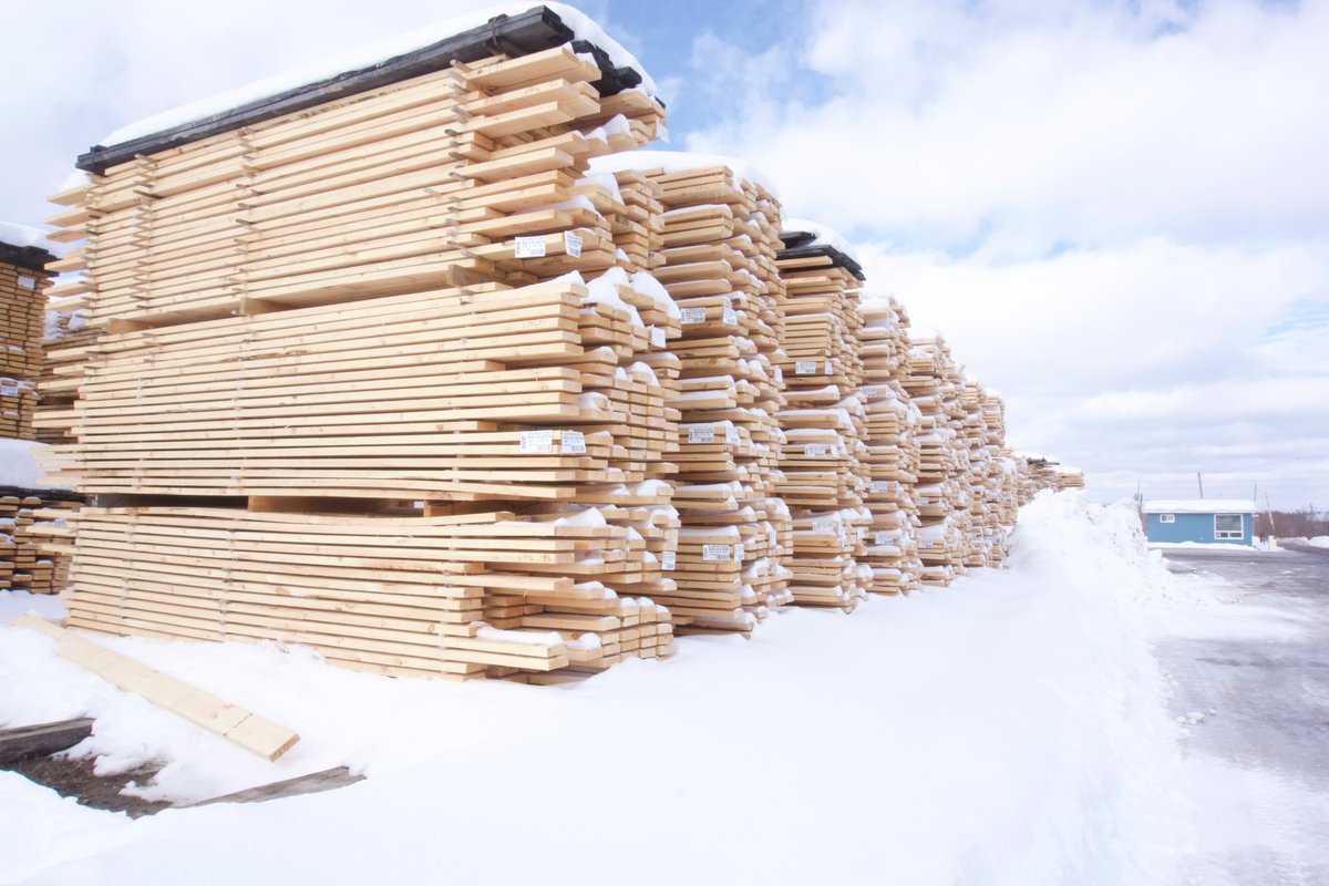 lumbersource's tweet image. Falcon Eastern White Pine production