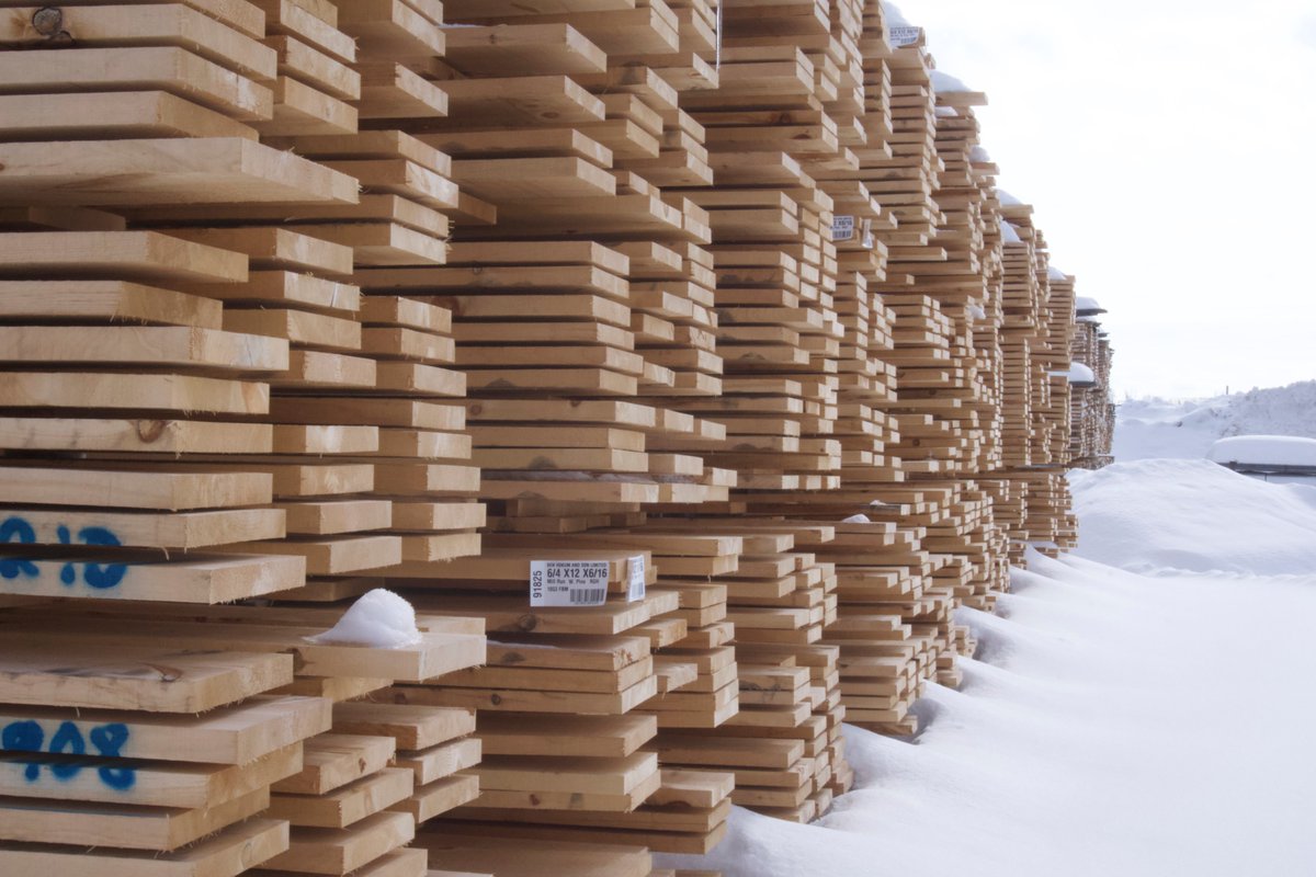 lumbersource's tweet image. Falcon Eastern White Pine production