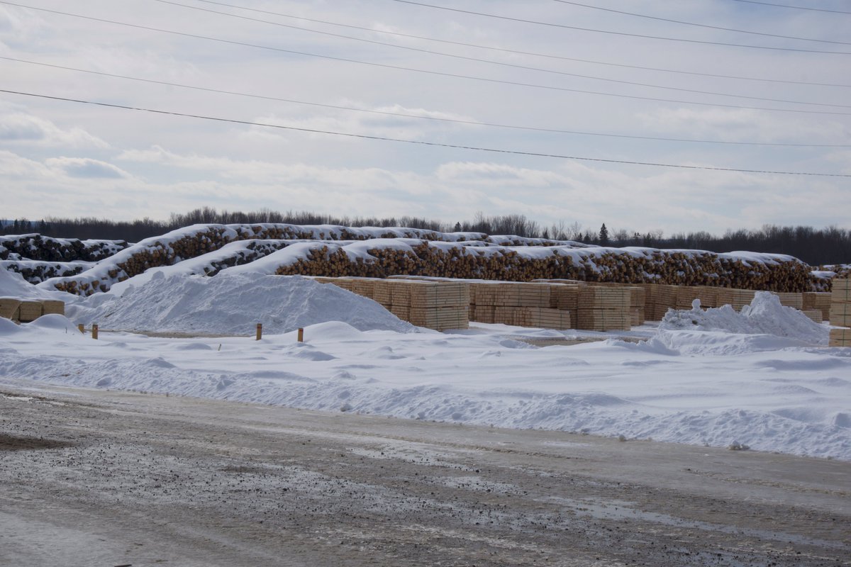 lumbersource's tweet image. Falcon Eastern White Pine production