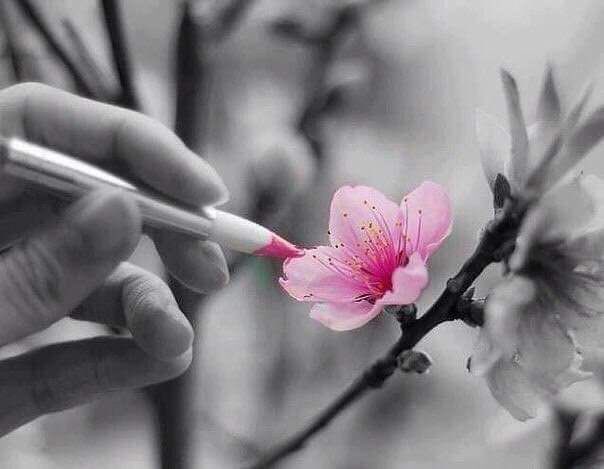 إذا لم تستطيع أن تكون قلما لكتابة السعادة للآخرين..
فكن ممحاة لطيفة تمحي بها أحزانهم،
وبث الأمل والتفاؤل في نفوسهم 
بأن القادم أجمل بإذن الله ..!
☕️🎻🕊