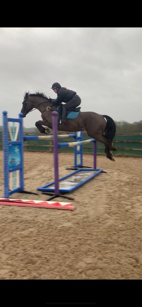 Mariconn on springs at the moment #seasonprep