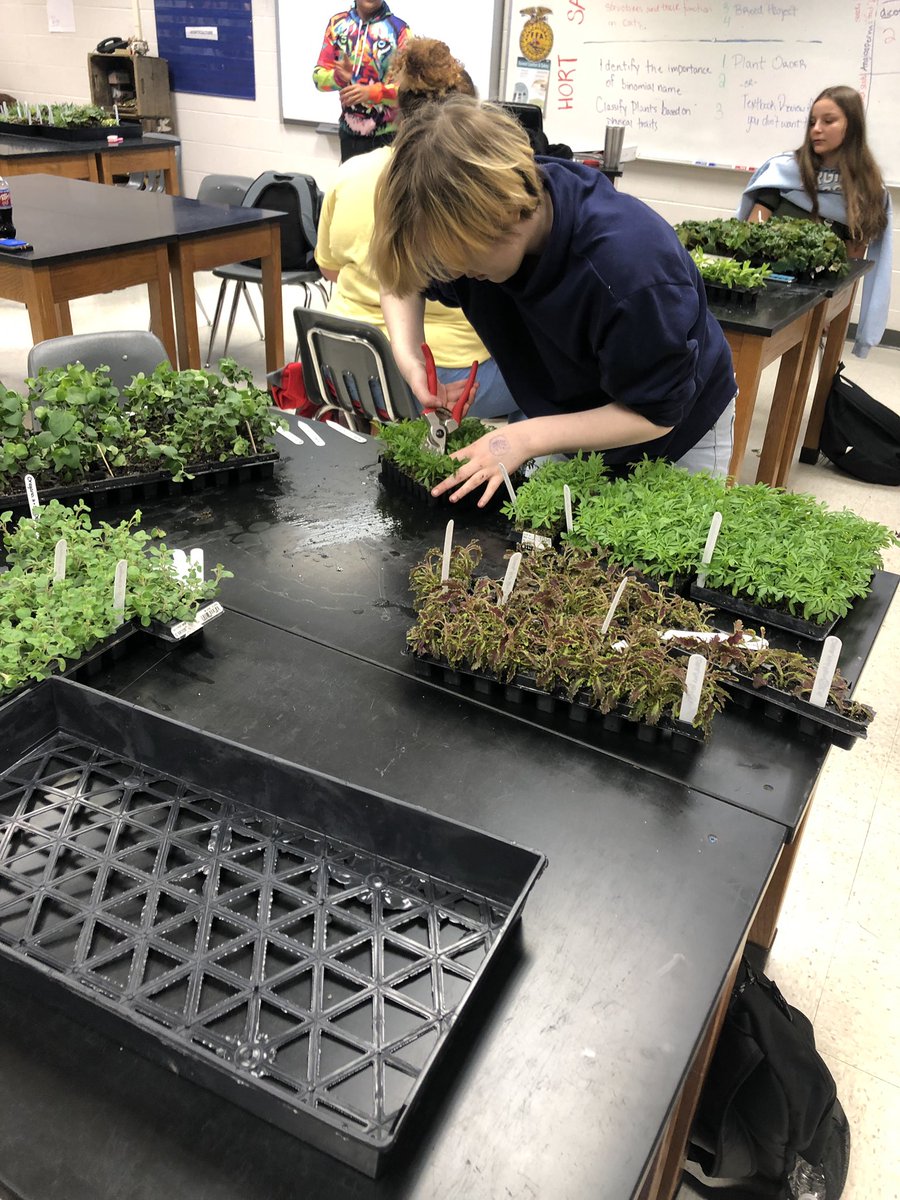 EMHS Agriculture tweet media