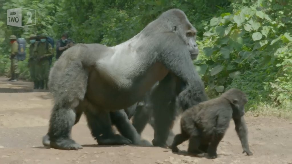 Op zoek naar de ‘heilige graal’ in leiderschap jaapboogaardblog.wordpress.com/2020/02/20/op-…