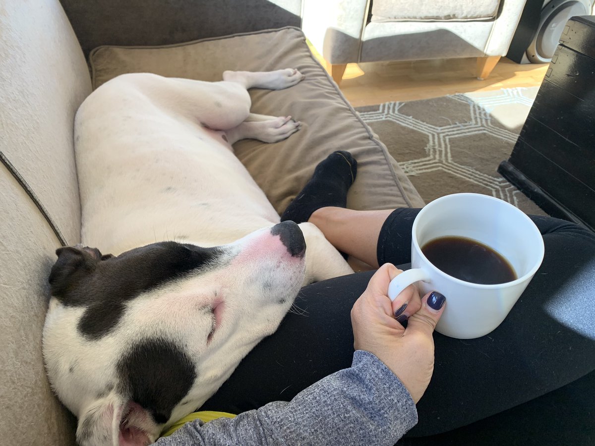 #LoveYourPetDay #Zeroishisnameo 🐶