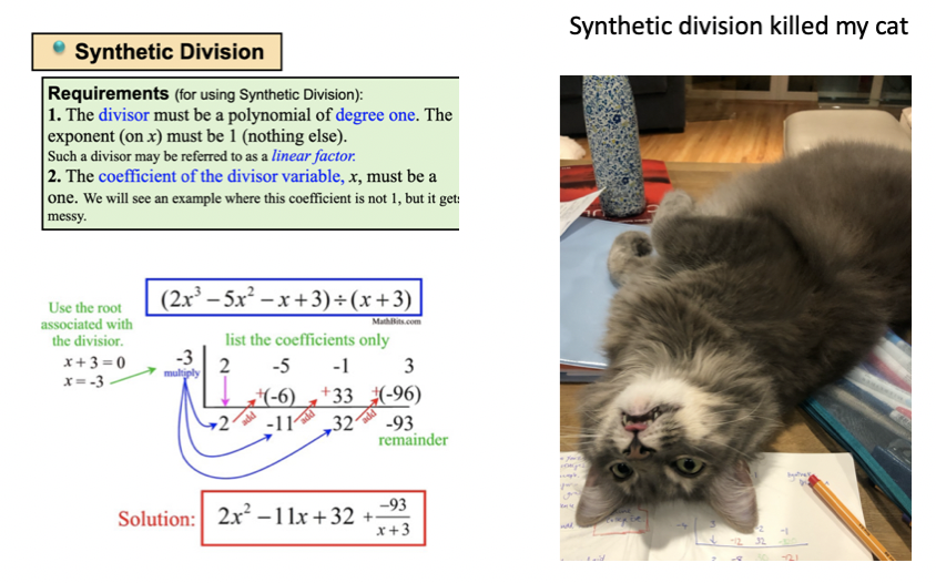 chaoskeeper11's tweet image. Synthetic division killed @joboaler’s cat! When will anybody ever use this method in the real world? #CISC2020 #CISCSYMP @youcubed