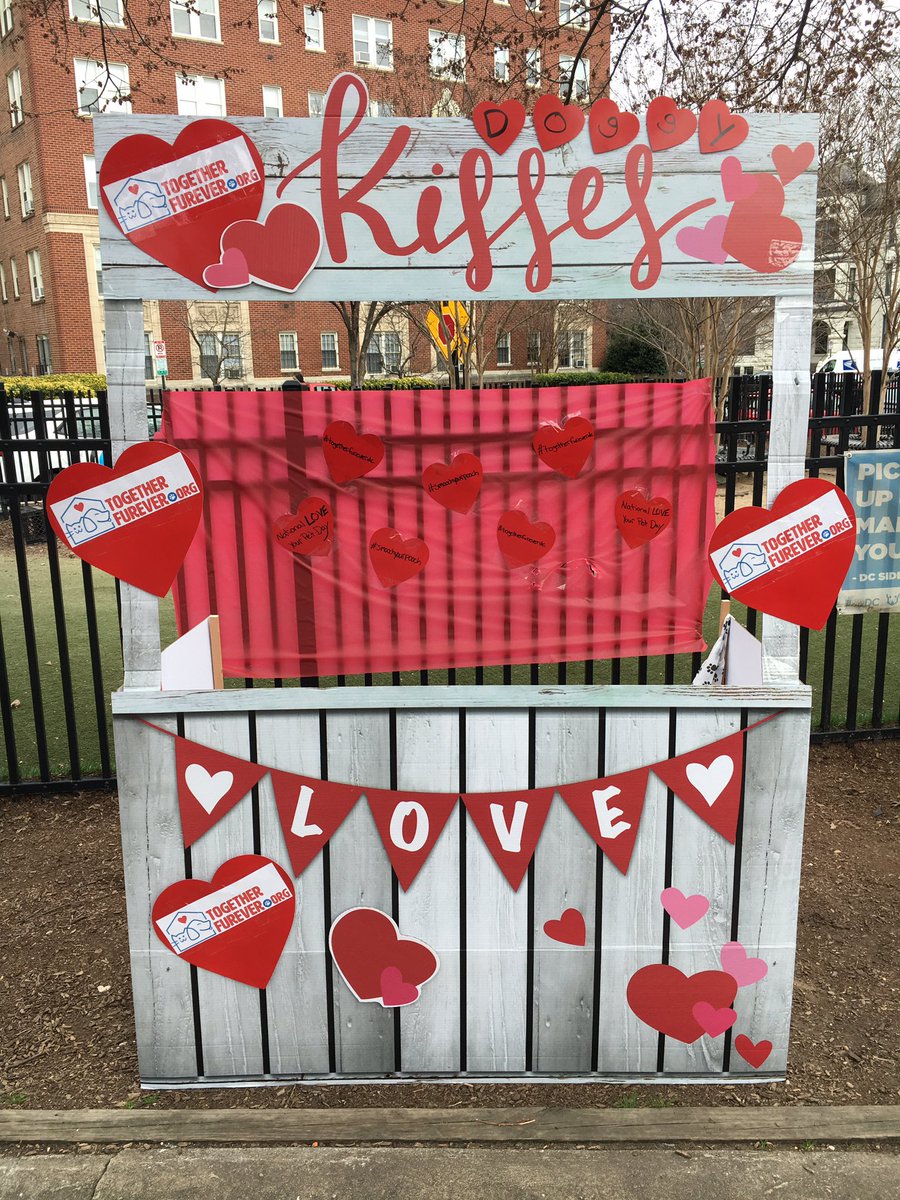 2gether_furever's tweet photo. We’re open for smooches 💋🐾
Come see us when you get home from work ❤️
#smoochyourpooch #togetherfureverdc #doggykissingbooth #nationalloveyourpetday #keepingpetsandpeopletogether https://t.co/HdpJP4GDk1