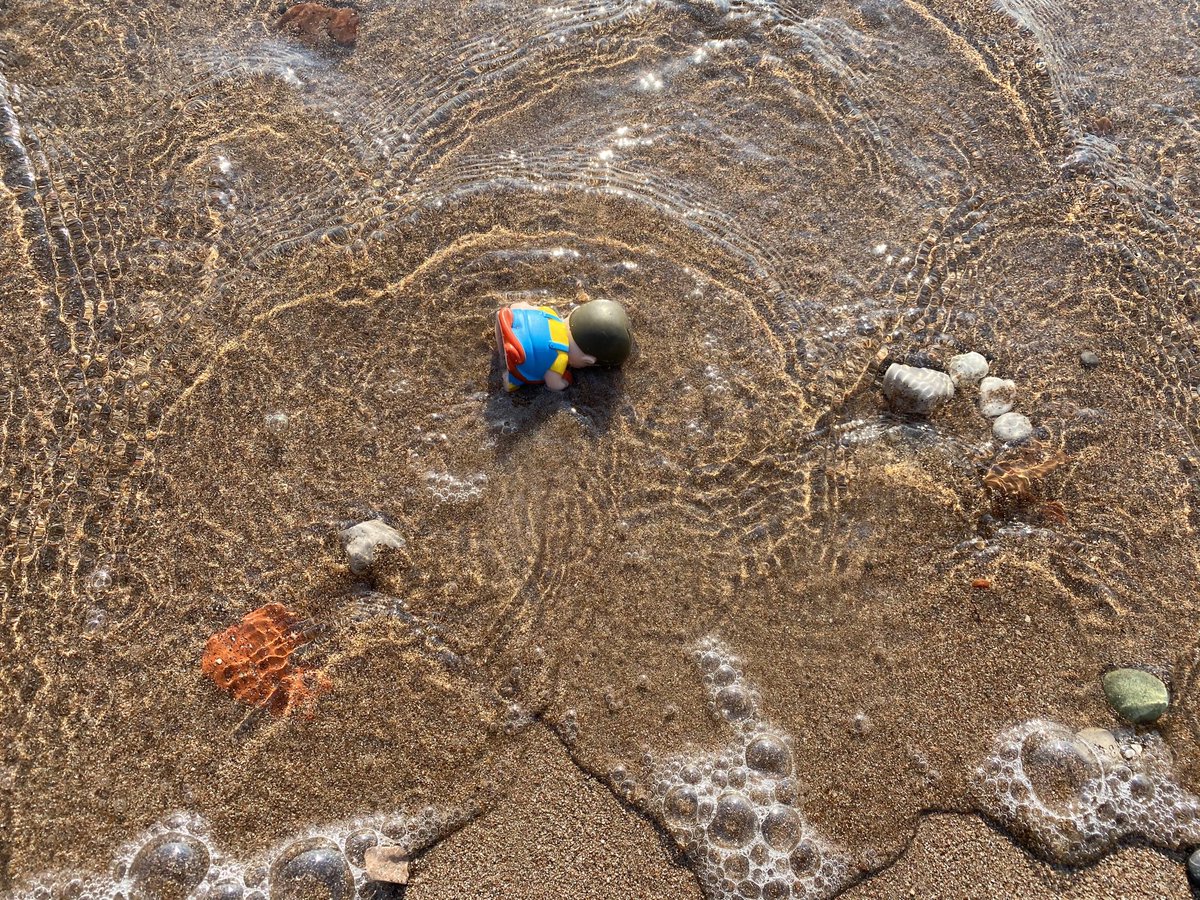 Gulfem Eren (@gulfemeren) on Twitter photo 