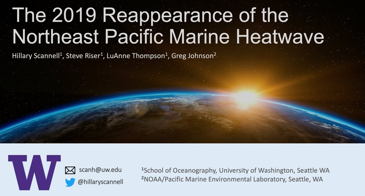 Finally finished my talk for Friday. Feeling both nervous and excited!  8:45 AM in room 1A  #OSM20 #marineheatwaves @UWOcean @ProfessorLuAnne @climate_haiku