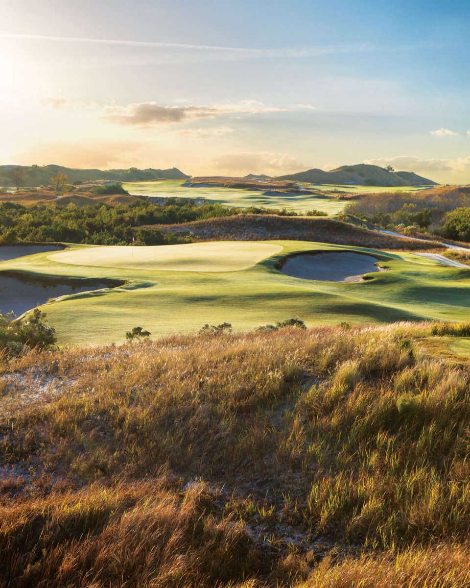 Streamsong tweet media