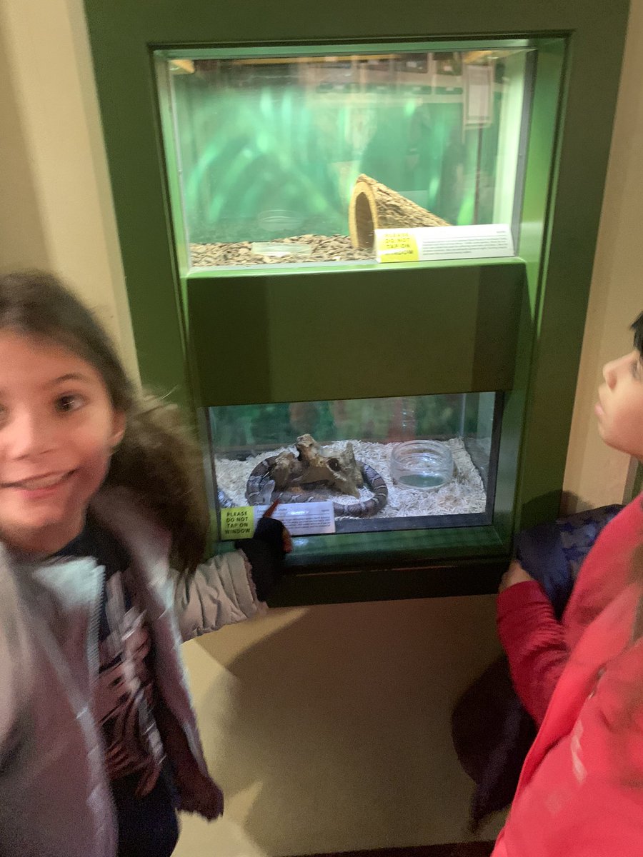 Mrs. Featherston tweet media