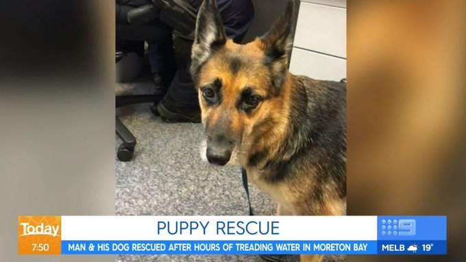 Ενσωματωμένο βίντεο