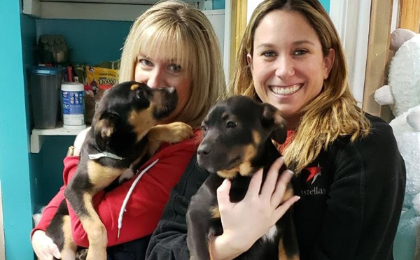 AstellasUS's tweet photo. During #RAKWeek, we celebrate 10 years of volunteer work @LambsFarm, where those with disabilities feel empowered to choose the best working and living environments for them. It’s where our volunteers make a difference in the lives of people every year. #CommittingforChange https://t.co/46kNTVvcL4