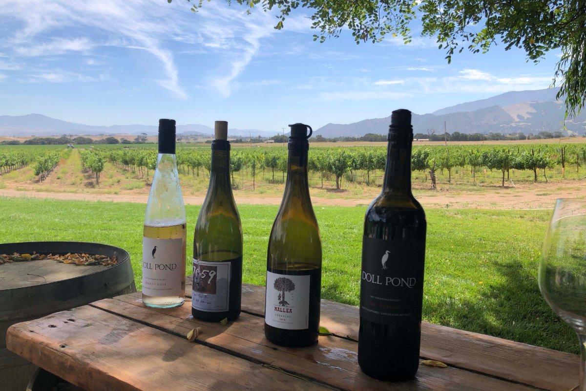 Stagecoach Wine Tours tweet media