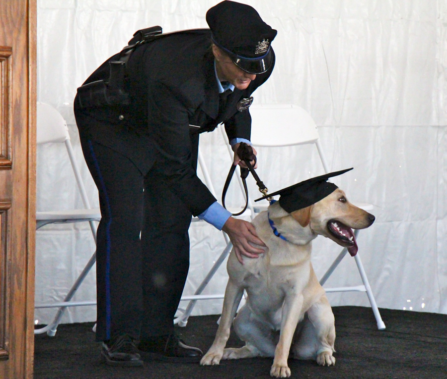 Is #TBT still a thing? Here's a throwback to my graduation from <a href="/PennVetWDC/">Penn Vet Working Dog Center</a> in 2013! #WorkingDogs #SniffingSkills