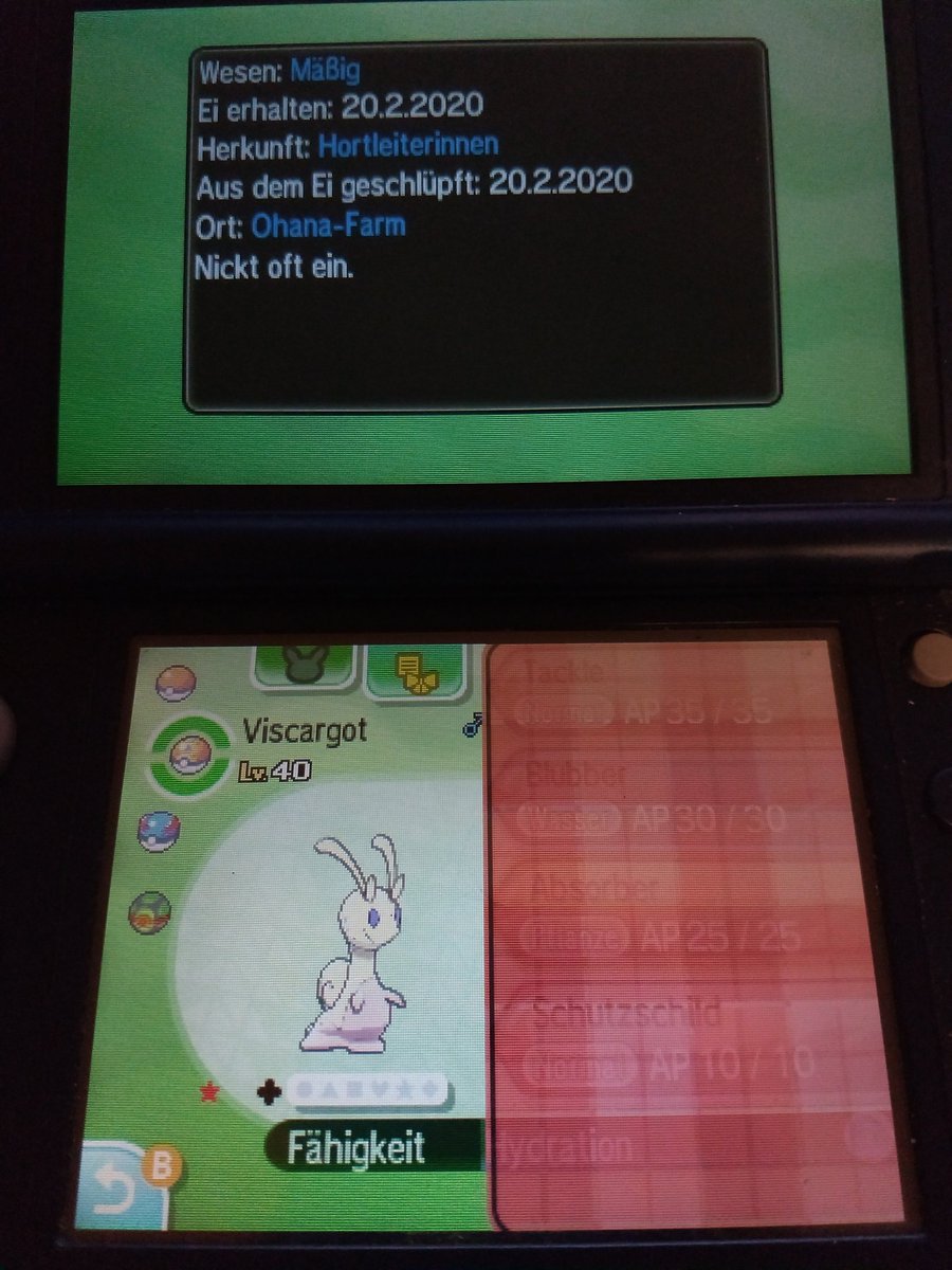 bushidooootiger's tweet photo. Viscora für shiny Viscargot nach 1.006 Eiern #shunten #sbreeding @TheSakatiS https://t.co/0s0otal7E1