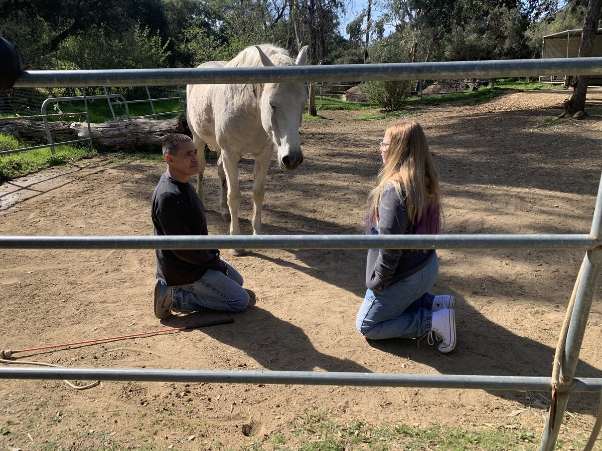 MUSEGlobalCA's tweet photo. When a student has a passion, MUSE delivers! Prime Campus Director Caitlin and 6th Grader Lilly met with MUSE Early Childhood parent Oliver to learn how with time, horses can be trusting and faithful animals. #getmused #museschool #passionbasedlearning #horses #passions https://t.co/JRXSdUs90A