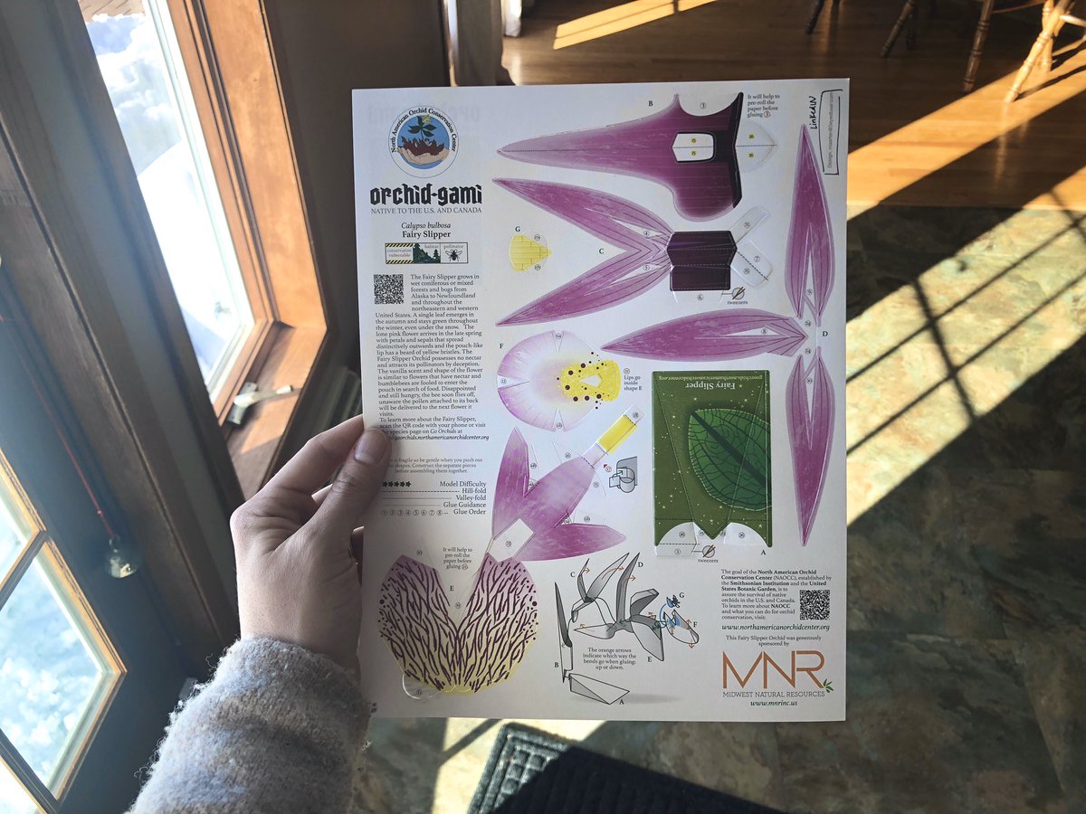 baweiland23's tweet photo. I think my favorite piece of #communications at the #WWAconference was this orchid-gami, designed by @3eyedbear. Sponsored by Midwest Natural Resources. @smithsonian North American Orchid Center https://t.co/mF2QOVtwma SO CRAFTY https://t.co/4YFQebCXyh