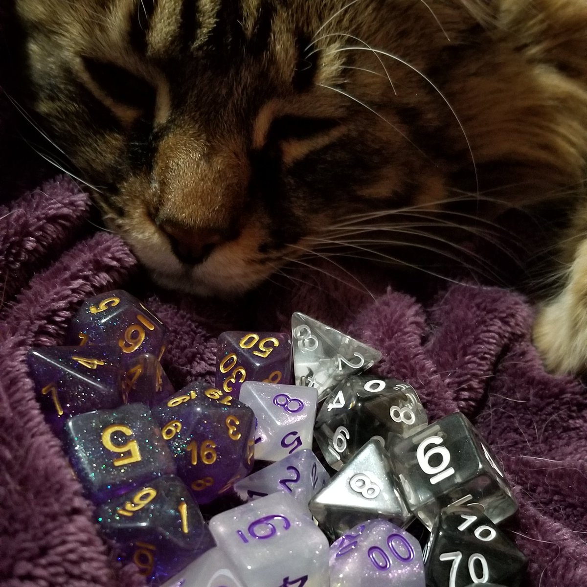 I heard it's #LoveYourPetDay! Here's my grumpy old man with the first ever dice I got from #CastleDieHard :)