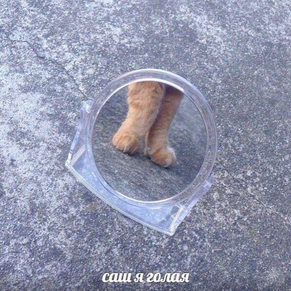 ERP8_mAXYAEchs_?format=jpg&name=small