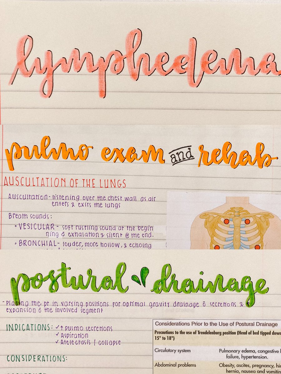 airamillf's tweet image. #damingtime