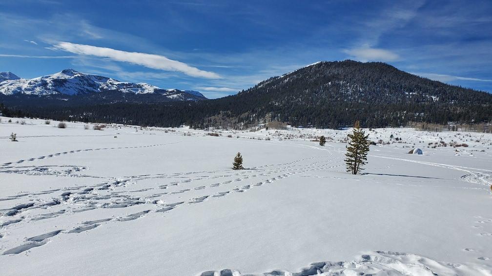 MusclePowered's tweet photo. Come join us on February 29 for snowshoeing in Hope Valley! https://t.co/WVXcdSthAj https://t.co/hKftZsDUng